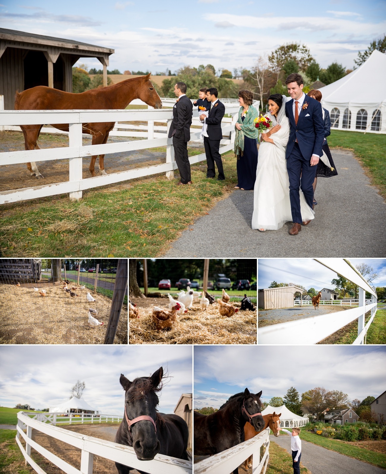 strasburg wedding photography